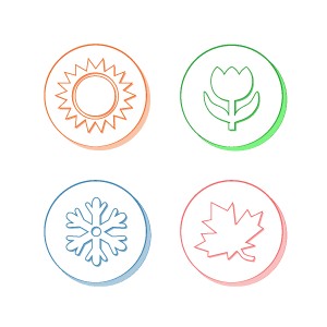 артикли с временами года