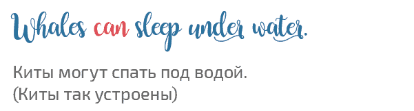 пример модального глагола can